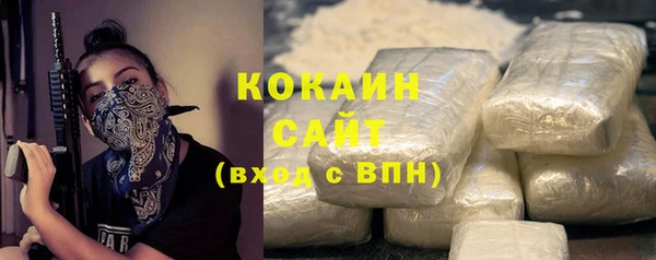 МДПВ Бородино