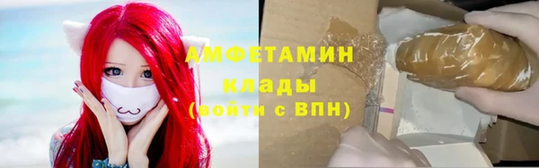 МДПВ Бородино