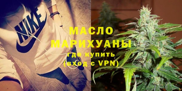 МДПВ Бородино