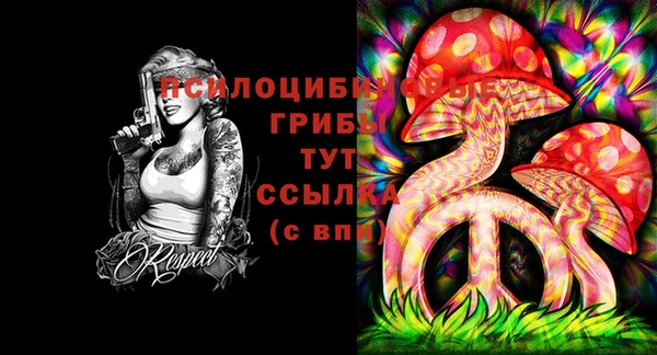 ешки Верхний Тагил